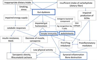 A Potential Benefit of “Balanced Diet” for Rheumatoid Arthritis